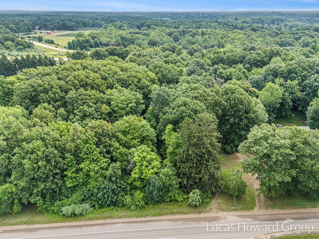47 Blue Star Hwy, South Haven, MI 49090 - photo 5