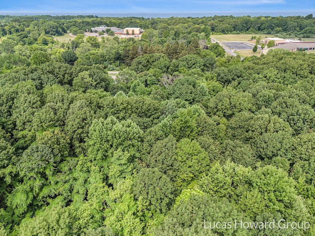 47 Blue Star Hwy, South Haven, MI 49090 - photo 6