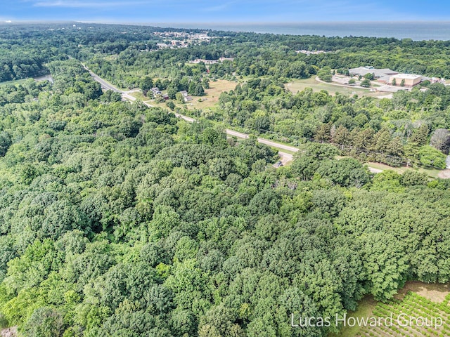47 Blue Star Hwy, South Haven, MI 49090 - photo 1