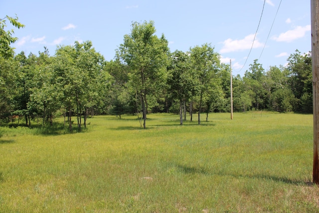 6573 Williams Trl, Grayling, MI 49738 - photo 7