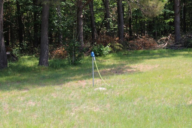 6573 Williams Trl, Grayling, MI 49738 - photo 8