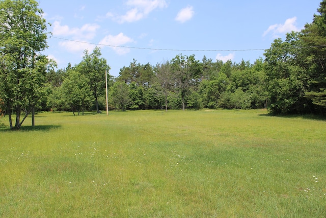 6573 Williams Trl, Grayling, MI 49738 - photo 11