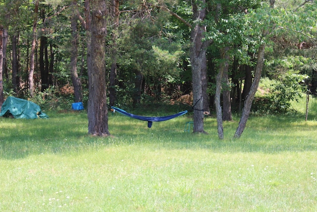 6573 Williams Trl, Grayling, MI 49738 - photo 12