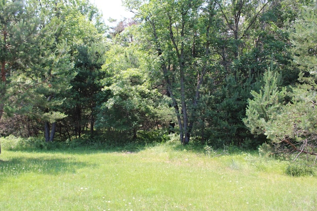 6573 Williams Trl, Grayling, MI 49738 - photo 13
