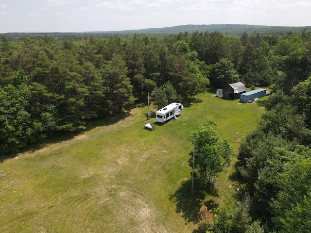 6573 Williams Trl, Grayling, MI 49738 - photo 17