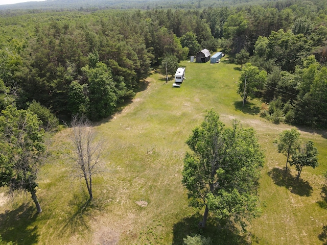6573 Williams Trl, Grayling, MI 49738 - photo 18