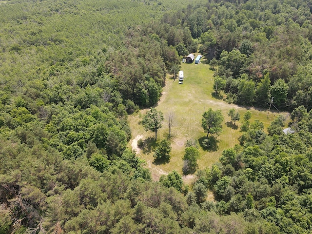 6573 Williams Trl, Grayling, MI 49738 - photo 19