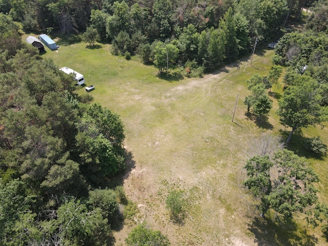 6573 Williams Trl, Grayling, MI 49738 - photo 29