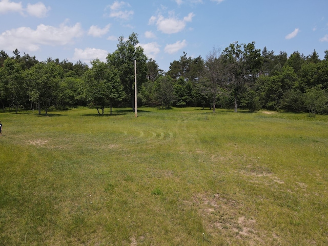 6573 Williams Trl, Grayling, MI 49738 - photo 33