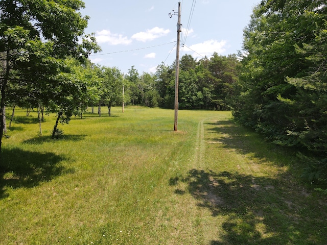 6573 Williams Trl, Grayling, MI 49738 - photo 35
