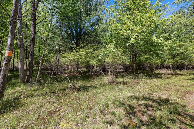 5525 Martin Rd Unit Parcel A, Norton Shores, MI 49441 - photo 8