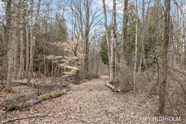 5525 Martin Rd Unit Parcel A, Norton Shores, MI 49441 - photo 17