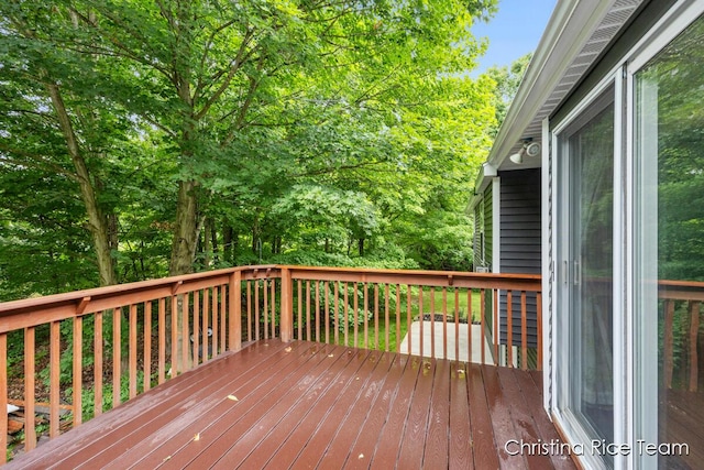 15411 Cedar Leaf Ct, Cedar Springs, MI 49319 - photo 33