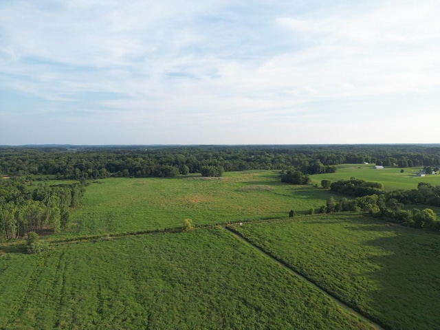 0 Green Rd, Stockbridge, MI 49285 - photo 4