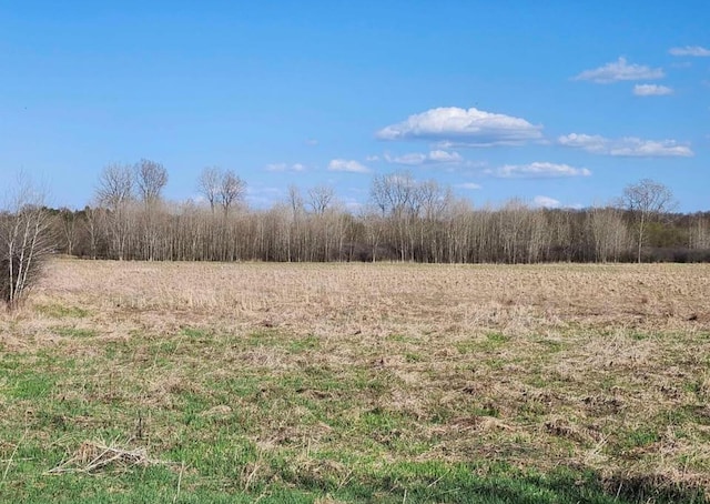 0 Green Rd, Stockbridge, MI 49285 - photo 7