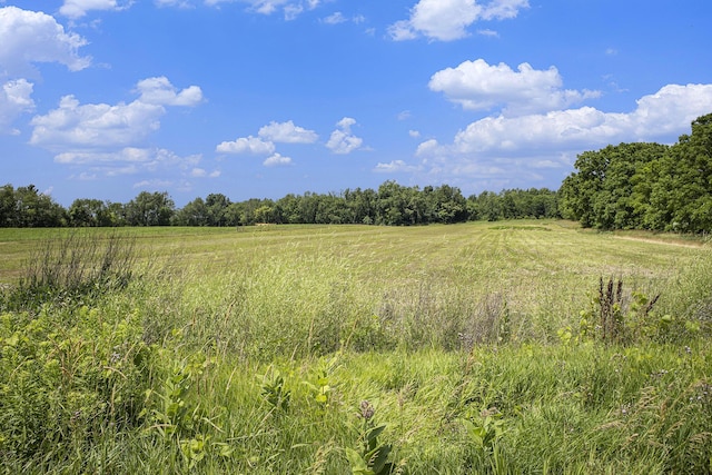VL Spring Arbor Road, Spring Arbor, MI 49283
