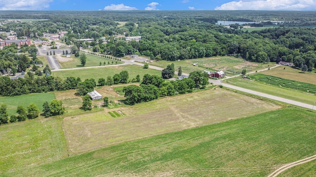 VL Spring Arbor Road, Spring Arbor, MI 49283