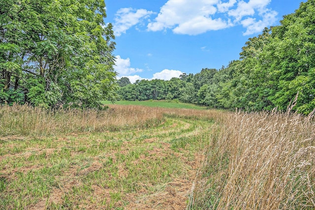 VL Spring Arbor Road, Spring Arbor, MI 49283