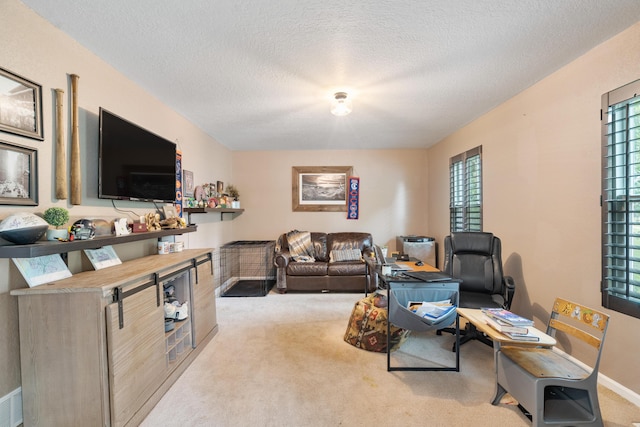 6594 Annandale Dr, Kalamazoo, MI 49009 - photo 42