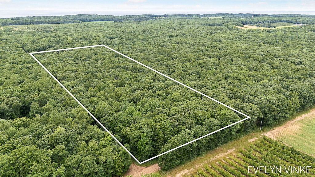 V/L W Woodrow Rd, Shelby, MI 49455 - photo 1