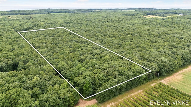 V/L W Woodrow Rd, Shelby, MI 49455 - photo 1