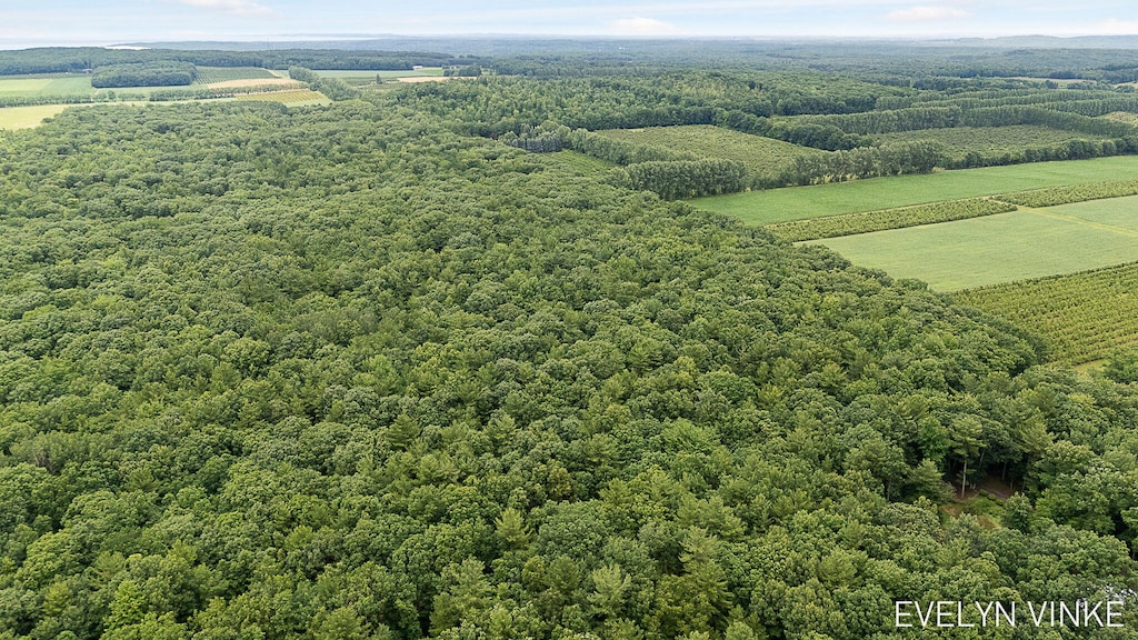 V/L W Woodrow Rd, Shelby, MI 49455 - photo 2