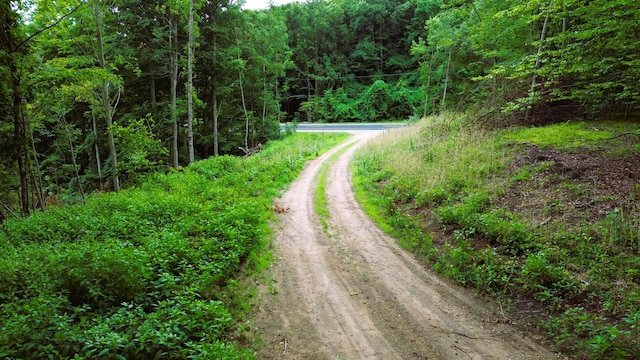 V/L11.56A M-20, Hesperia, MI 49421 - photo 8