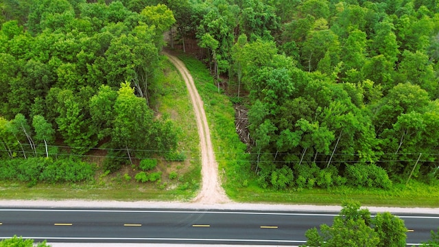 V/L11.56A M-20, Hesperia, MI 49421 - photo 3
