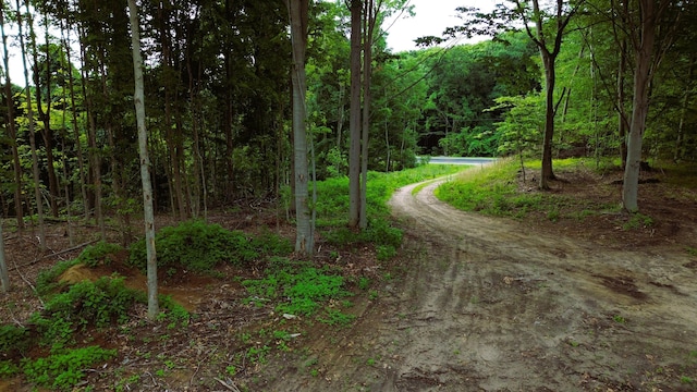 V/L11.56A M-20, Hesperia, MI 49421 - photo 9