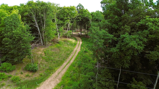 V/L11.56A M-20, Hesperia, MI 49421 - photo 6