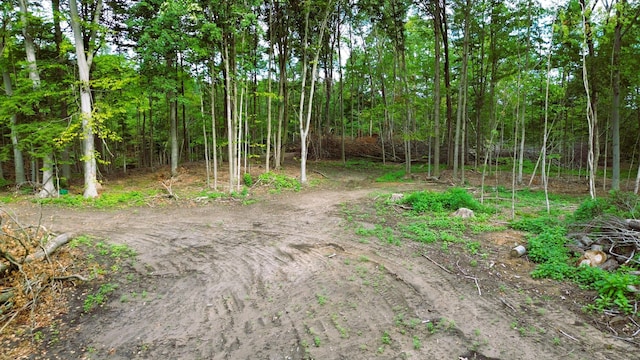 V/L11.56A M-20, Hesperia, MI 49421 - photo 11