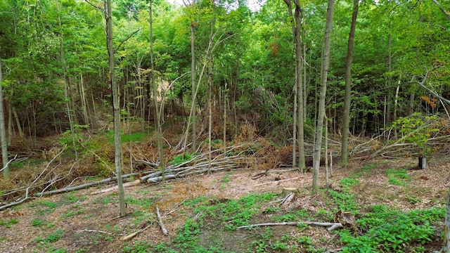 V/L11.56A M-20, Hesperia, MI 49421 - photo 17