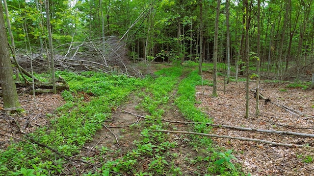 V/L11.56A M-20, Hesperia, MI 49421 - photo 18