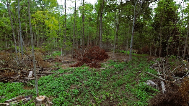 V/L11.56A M-20, Hesperia, MI 49421 - photo 20