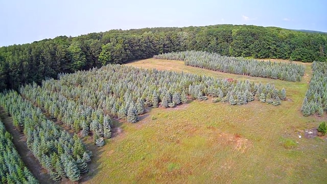 VL8 Baseline Rd, Shelby, MI 49455 - photo 3