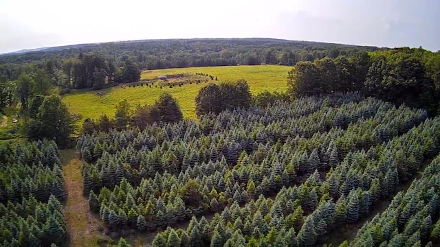 VL8 Baseline Rd, Shelby, MI 49455 - photo 5