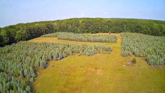 VL8 Baseline Rd, Shelby, MI 49455 - photo 6