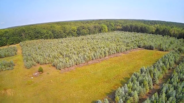 VL8 Baseline Rd, Shelby, MI 49455 - photo 14