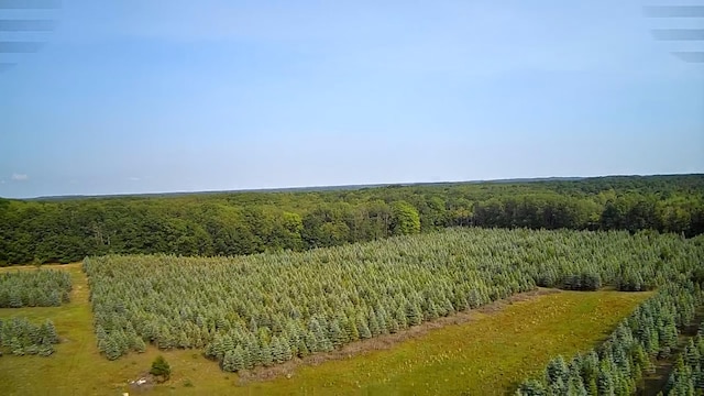 VL8 Baseline Rd, Shelby, MI 49455 - photo 15