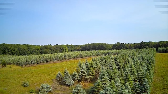 VL8 Baseline Rd, Shelby, MI 49455 - photo 16