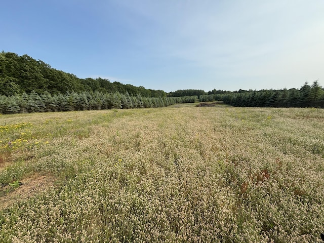 VL8 Baseline Rd, Shelby, MI 49455 - photo 23