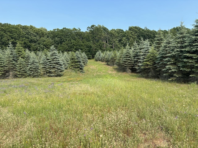 VL8 Baseline Rd, Shelby, MI 49455 - photo 24