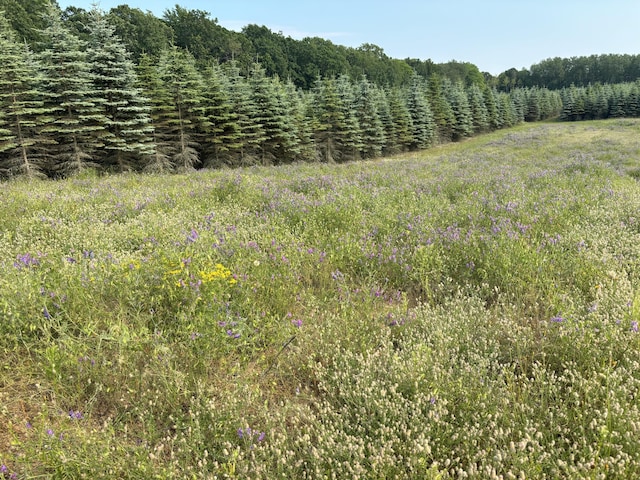 VL8 Baseline Rd, Shelby, MI 49455 - photo 25