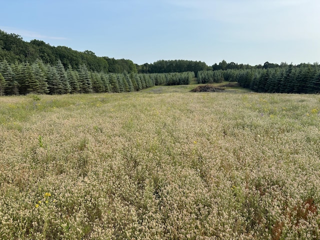 VL8 Baseline Rd, Shelby, MI 49455 - photo 26