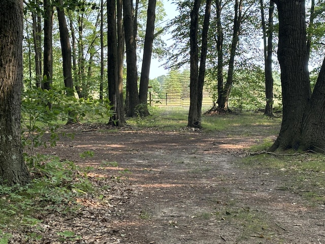 VL8 Baseline Rd, Shelby, MI 49455 - photo 27