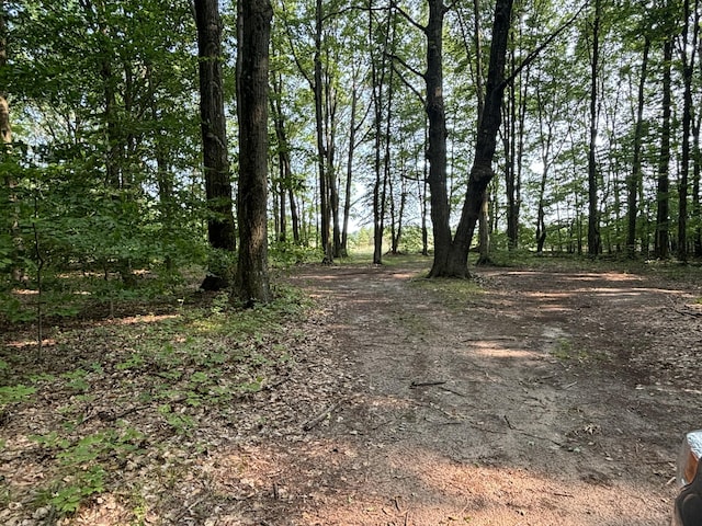 VL8 Baseline Rd, Shelby, MI 49455 - photo 28