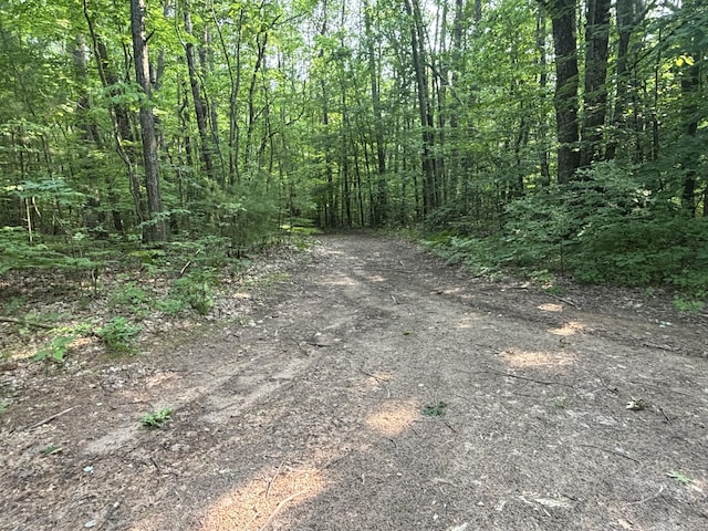 VL8 Baseline Rd, Shelby, MI 49455 - photo 29