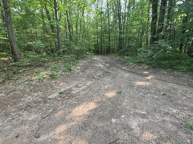 VL8 Baseline Rd, Shelby, MI 49455 - photo 30