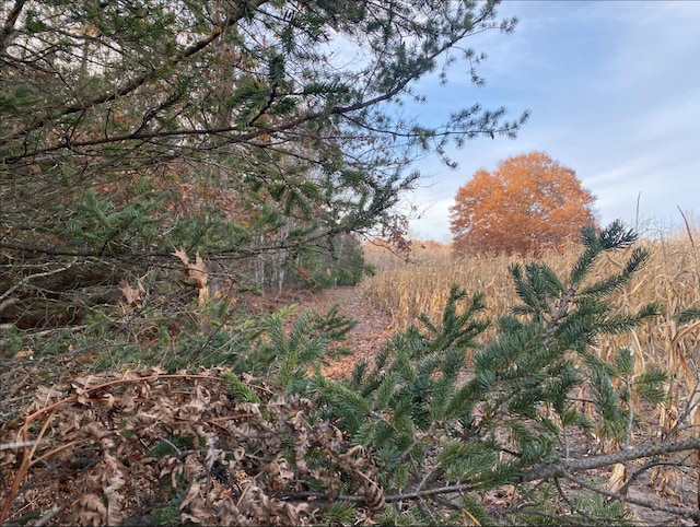 VL8 Baseline Rd, Shelby, MI 49455 - photo 32