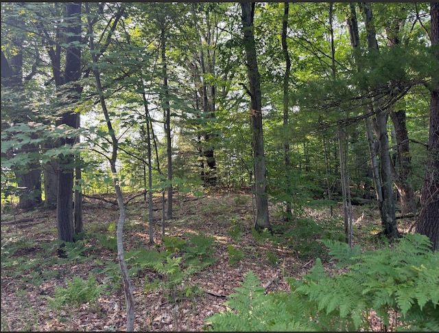 VL8 Baseline Rd, Shelby, MI 49455 - photo 36